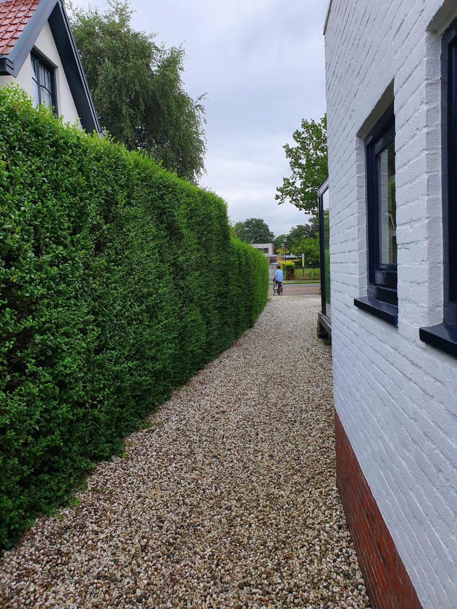 Zelfstandig Gastenverblijf In Het Groene Haren Nabij Groningen Exterior foto